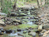 Creek with rolling stream