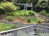 Yard and wood deck