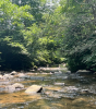 Image - River